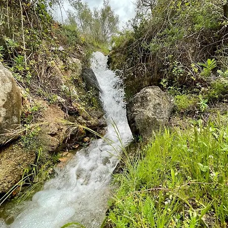 Cortijo Samadhi 란야론