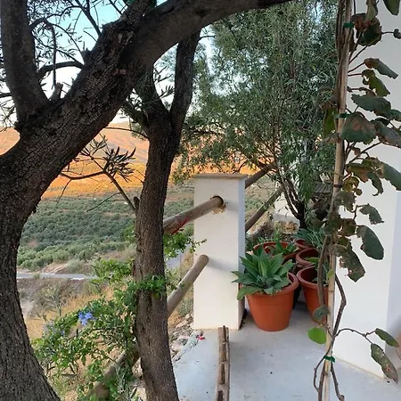 Cortijo Samadhi 컨트리하우스 란야론