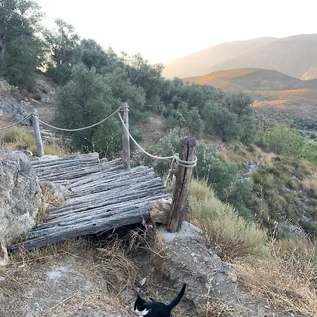 Cortijo Samadhi * 란야론