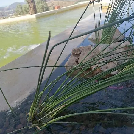 Cortijo Samadhi Lanjarón
